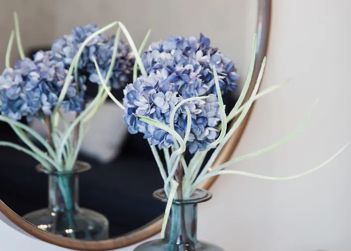 Aparthotel Kassandra Polychrono